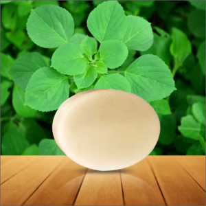 Kuppaimeni Base – 100% Natural & Herbal Skincare Base