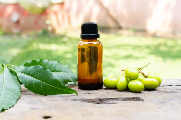 Neem Oil – Natural Antibacterial & Skin Repair Solution