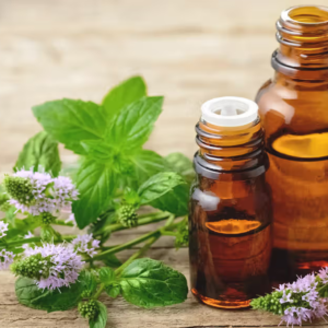 Peppermint Essential Oil