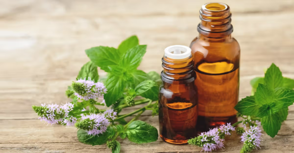 Peppermint Essential Oil