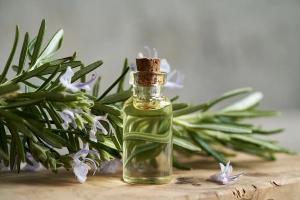 Rosemary Essential Oil – 100% Pure & Natural