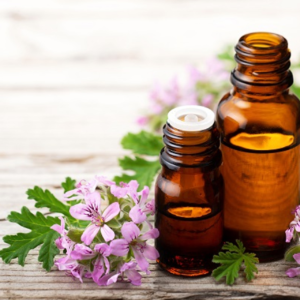 Geranium Essential Oil – 100% Pure & Natural