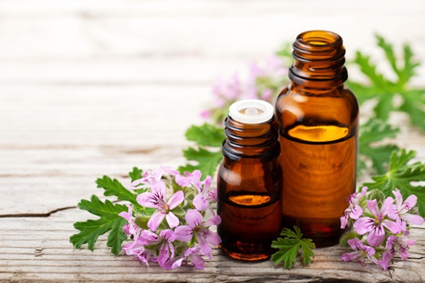 Geranium Essential Oil – 100% Pure & Natural