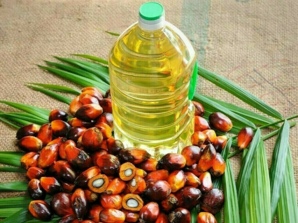 Palm Oil – Rich in Vitamin E & Skin Protection