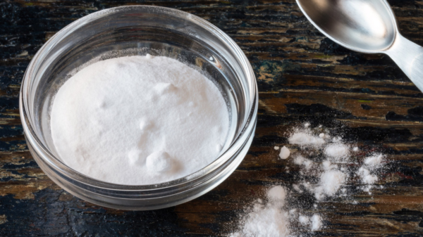 Sodium Benzoate – 100% Pure & Food-Grade Preservative