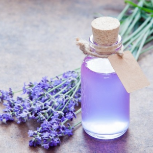 Lavender Hydrosol