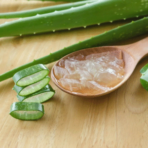 Aloe Vera Extract (Water-Soluble)