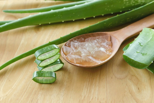 Aloe Vera Extract (Water-Soluble)