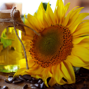 Sunflower Oil