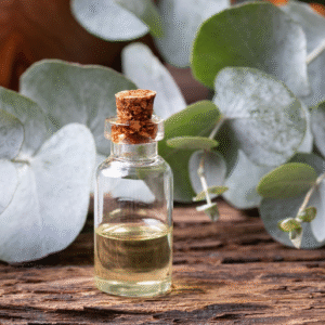 Eucalyptus Essential Oil