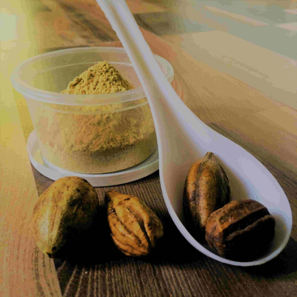 Haritaki (Kadukai) Powder