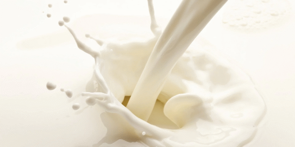 Hydrolyzed Milk Protein (Liquid Form)