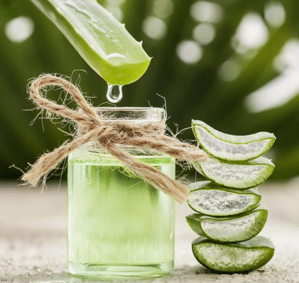 Aloe Vera Extract (Oil-Soluble)