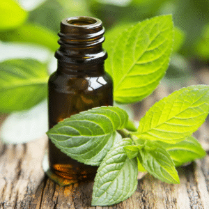 Herbal Fresh Fragrance Oil – 100% Pure Natural Skin & Hair Care Oil