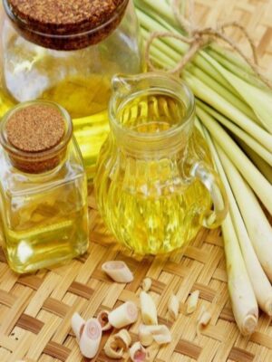 lemongrass-essential-oil Organic Lemongrass Essential Oil with fresh lemongrass stalks
