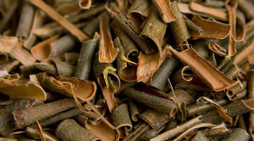 Shopify_Blog_Banner_-_Willow_Bark_Extract_520x500_2350bca5-419c-41f5-aba0-0aa19d4f0821 Willow Bark Extract (Salix alba)