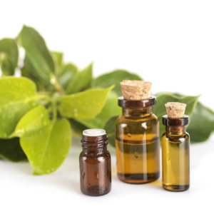 Camphor essential oil bottle with cooling aromatic properties