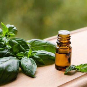 basil-oil-basil-essential-oil Pure basil essential oil bottle with herbal refreshing aroma