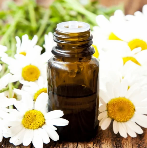 chamomile_49a85e5e-2467-4e63-9927-4aa04aaa22eb_1066x1067 Bottle of chamomile essential oil with calming and soothing properties