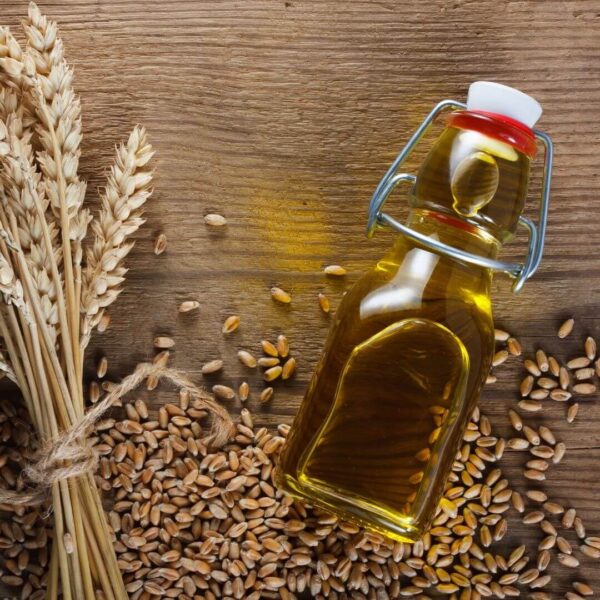 Bottle of wheatgerm carrier oil rich in vitamin E for skin and hair nourishment