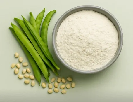 guar gum powder natural thickener