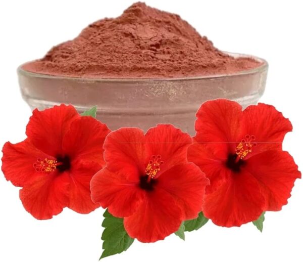 Gudhal-Phool-Powder-Hibiscus-Flower-Powder-Gudhal-Flower-Powder-Hibiscus-Rosa Sembaruthi Poo (Hibiscus Flower) Powder
