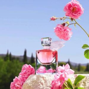 Rose Fragrance