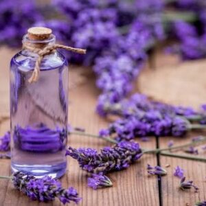 Lavender Fragrance