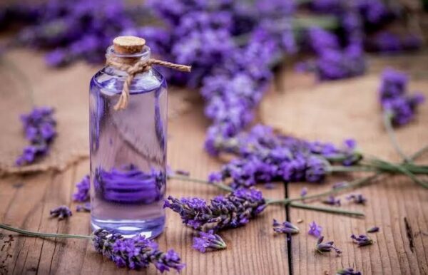 images (5) Lavender Fragrance